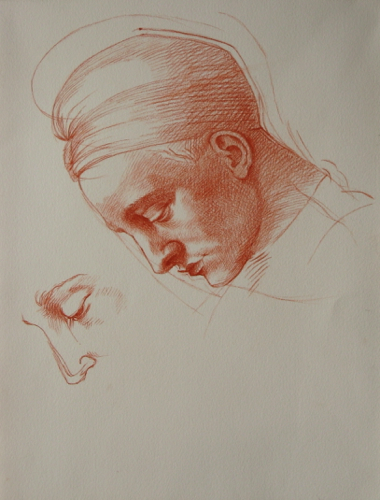 female head, after Michaelangelo
sanguine female head, after Michaelangelo
sanguine